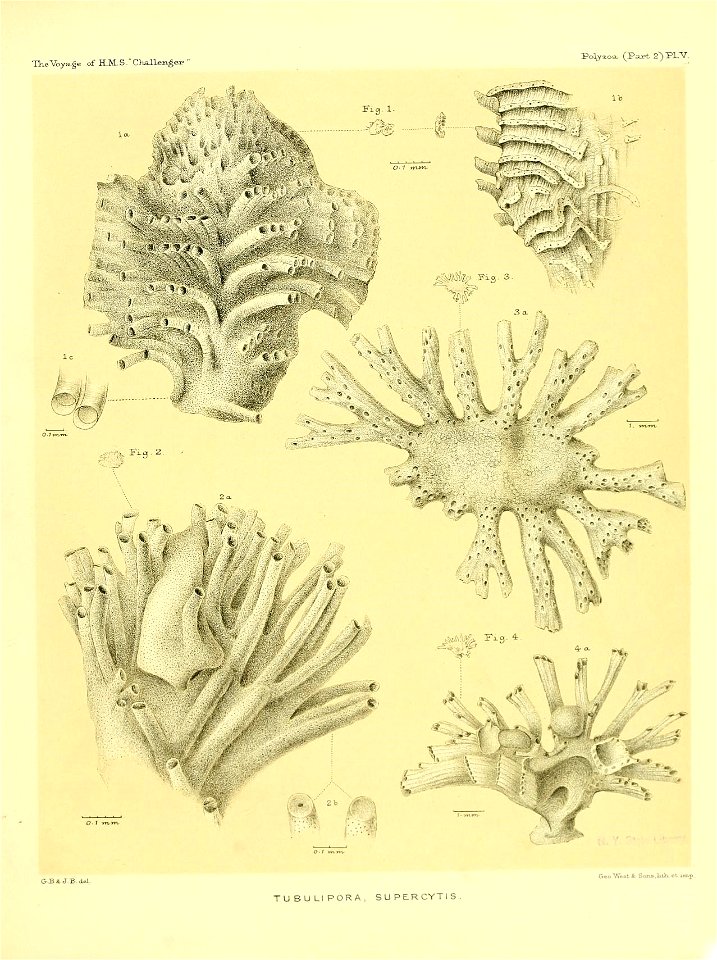 n172_w1150