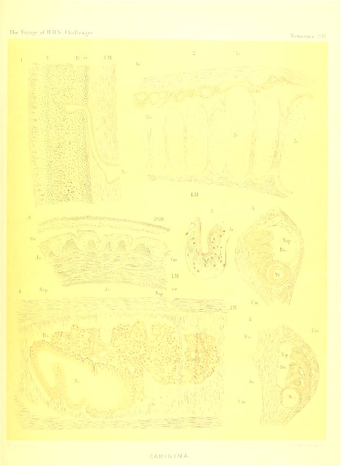 n180_w1150