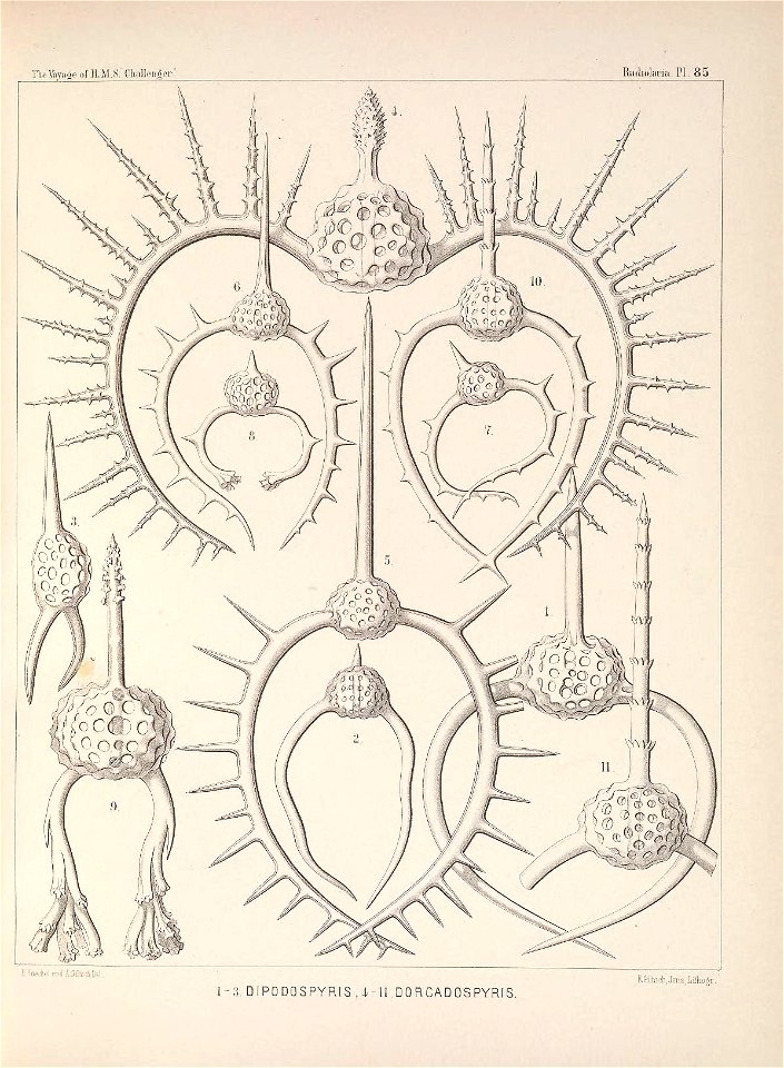n352_w1150