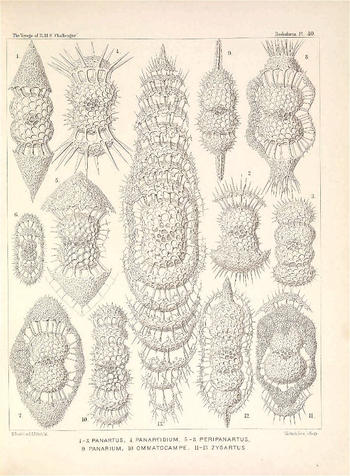 n172_w1150