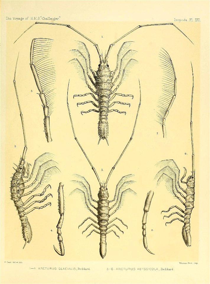 n274_w1150