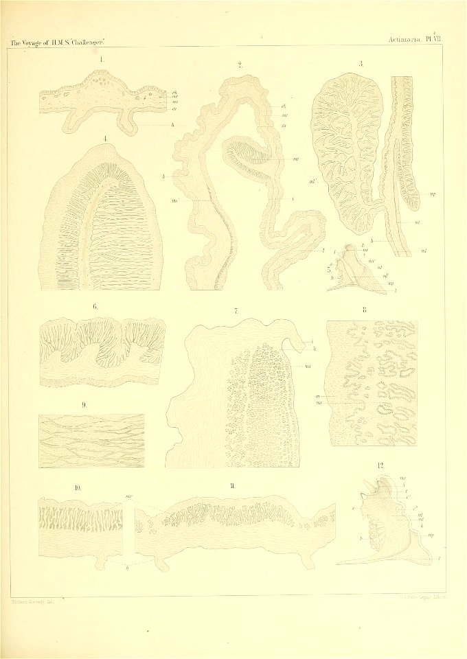 n174_w1150
