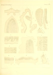 n174_w1150
