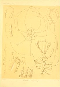 n176_w1150
