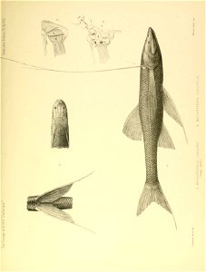 n652_w1150