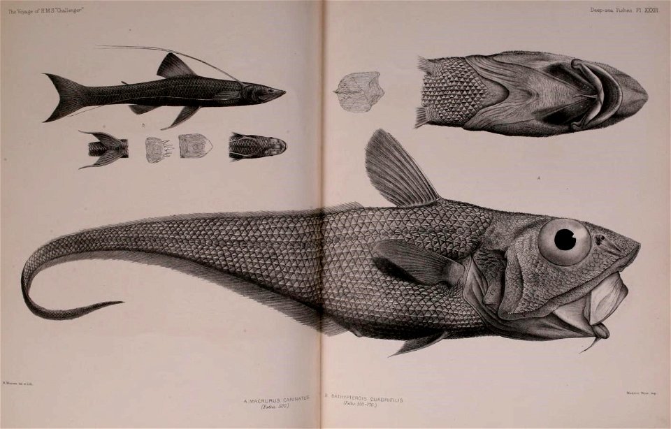 n578_w1150