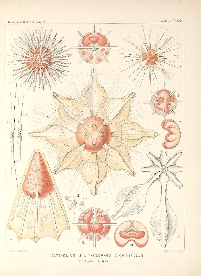 n528_w1150