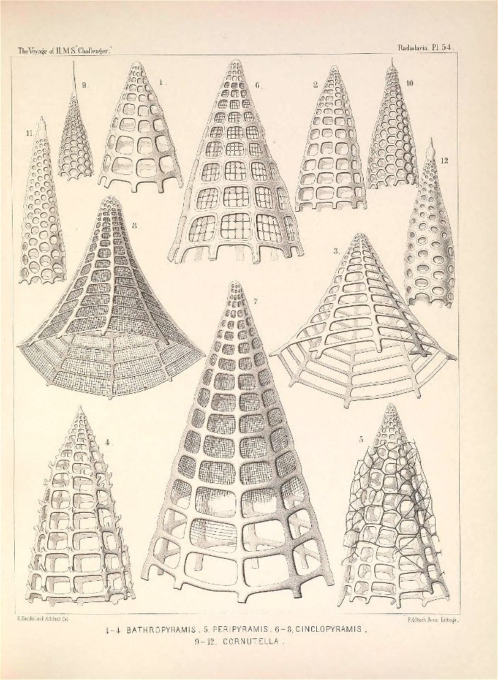 n228_w1150