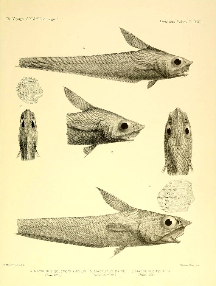 n572_w1150