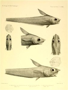 n572_w1150