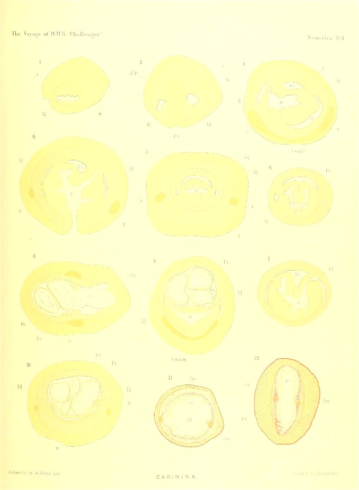 n172_w1150