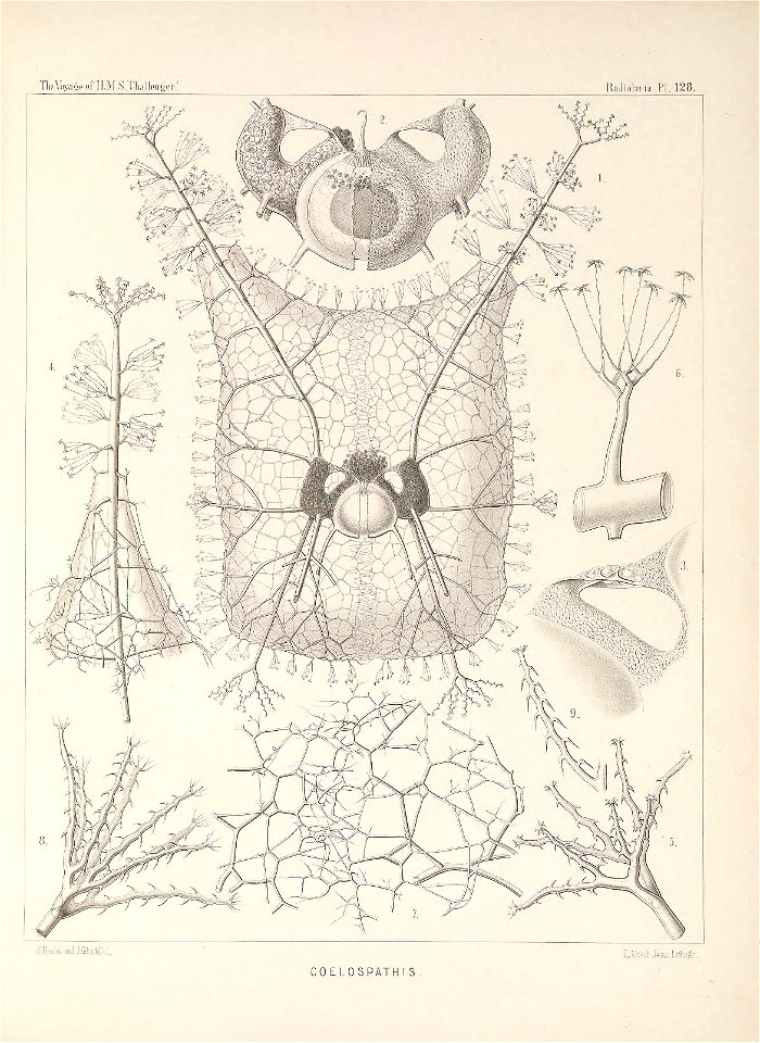 n524_w1150