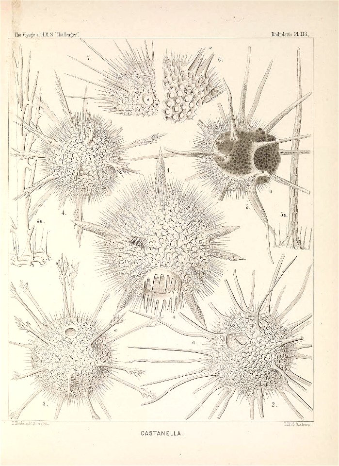 n464_w1150