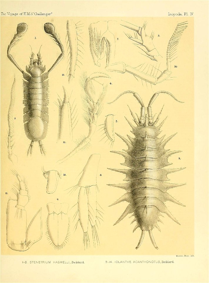 n206_w1150