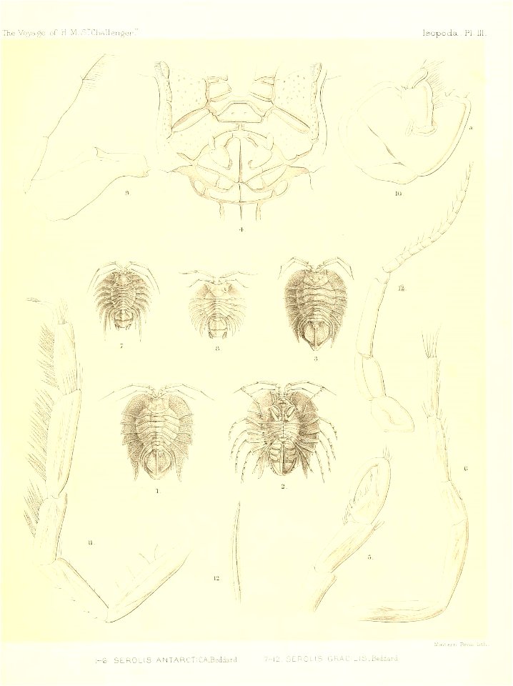 n102_w1150