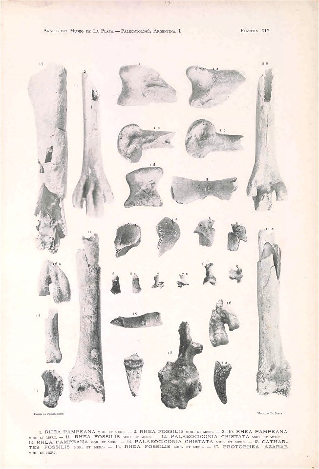 n120_w1150