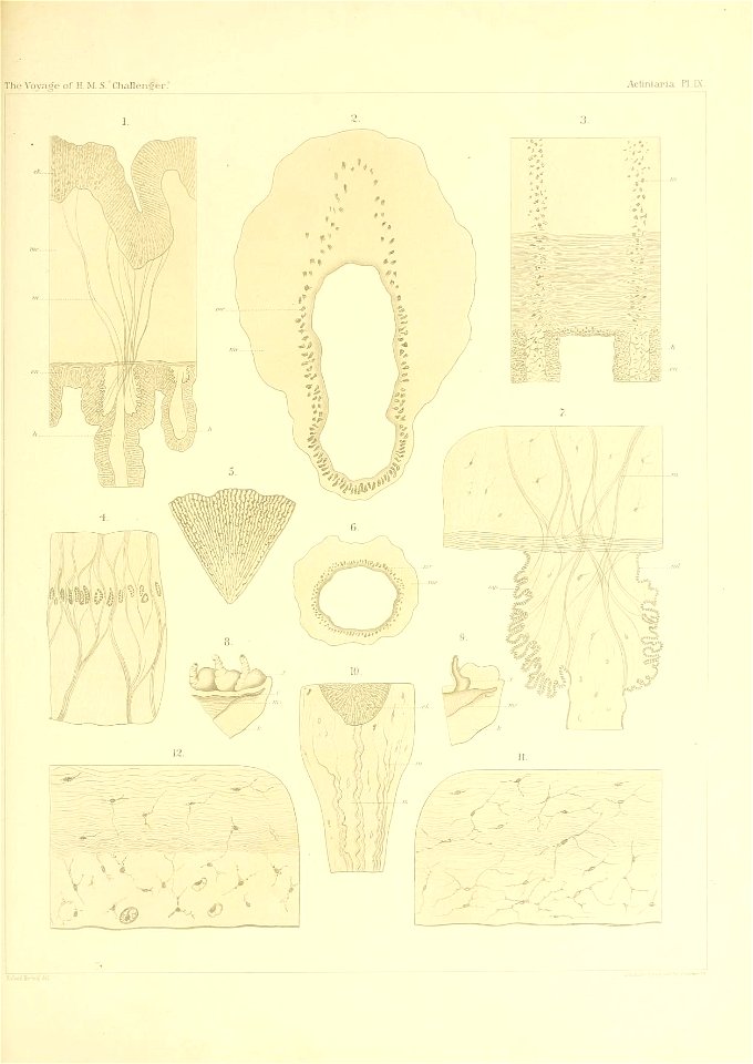 n182_w1150