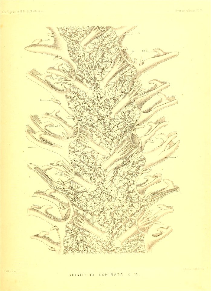 n270_w1150