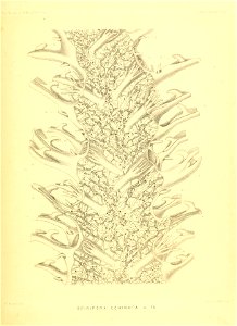 n270_w1150