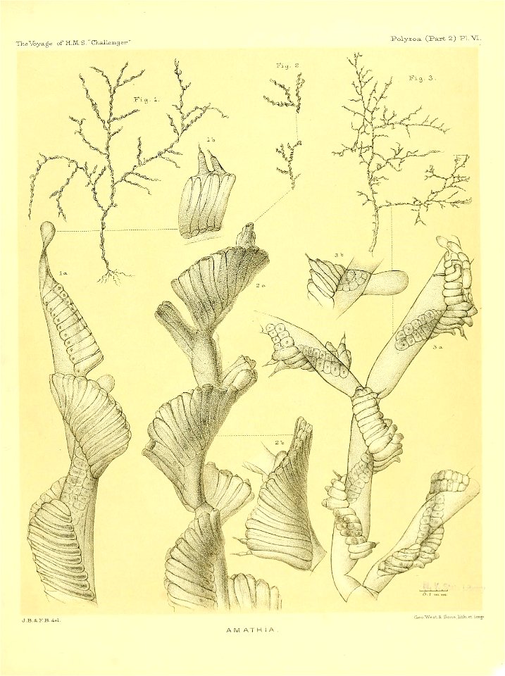 n176_w1150