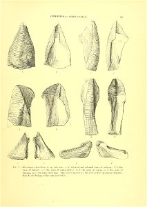 n152_w1150