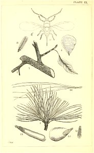 n157_w1150