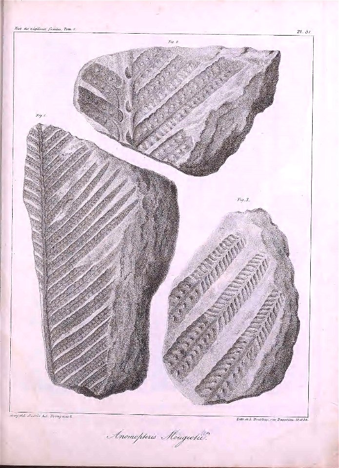 n484_w1150