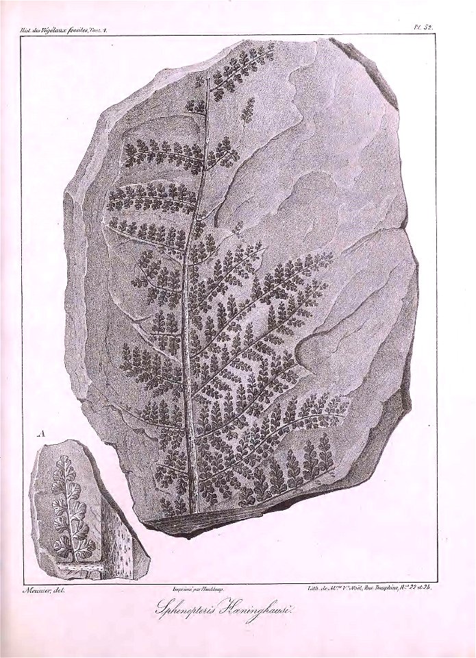 n424_w1150