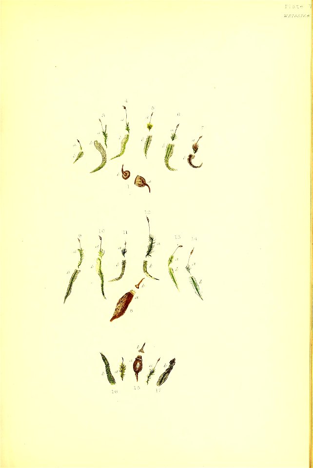n110_w1150