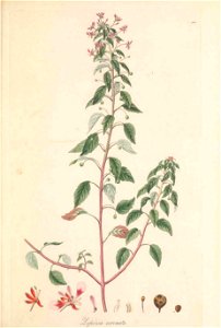 n44_w1150