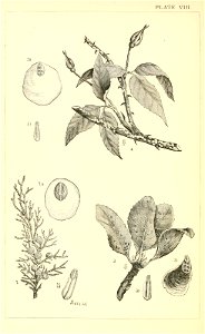 n155_w1150