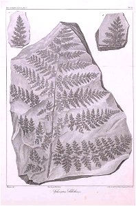 n422_w1150