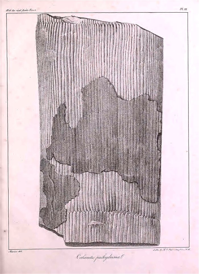 n362_w1150