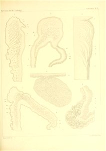 n170_w1150