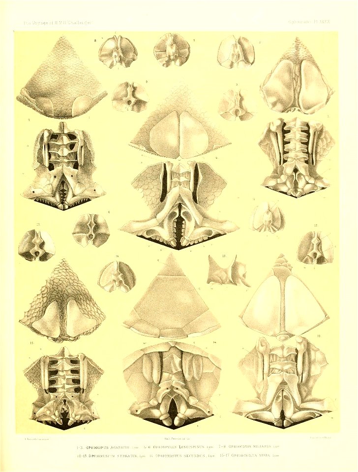n468_w1150