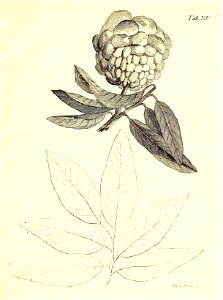 n58_w1150