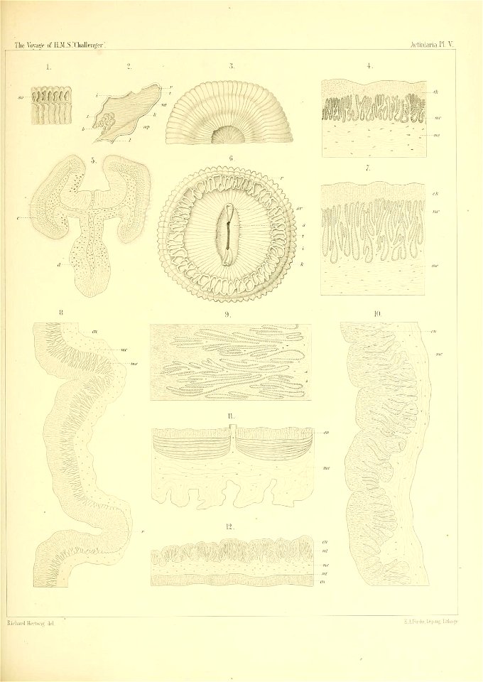 n166_w1150