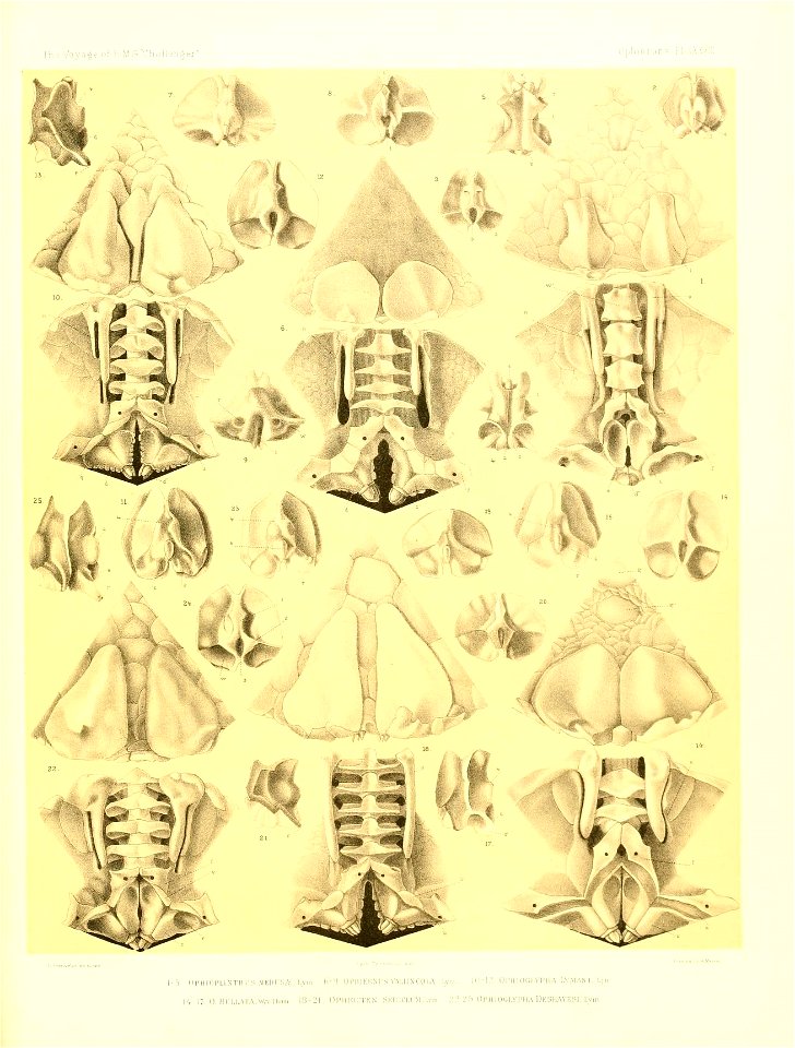 n466_w1150