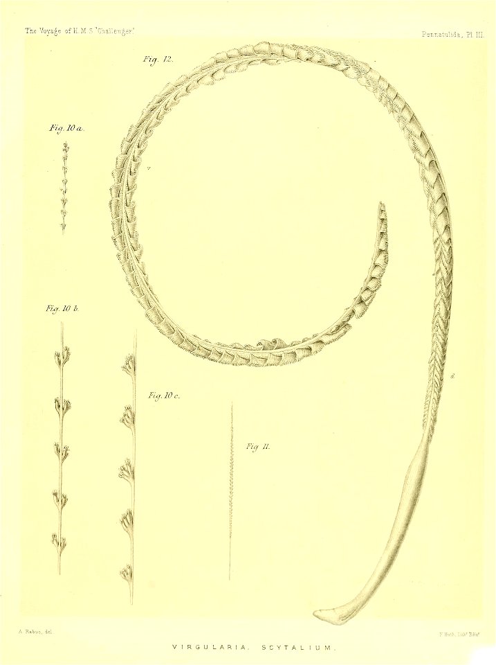 n316_w1150