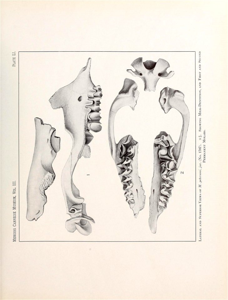 n538_w1150