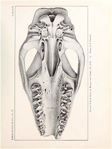 n534_w1150