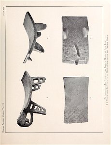 n194_w1150