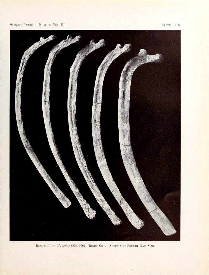 n562_w1150