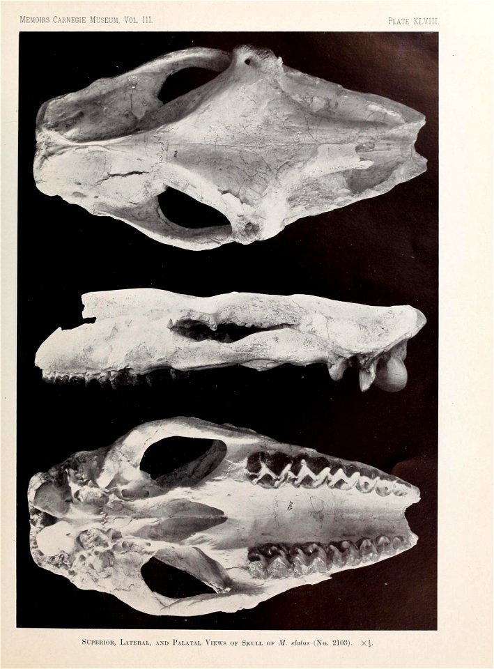 n532_w1150