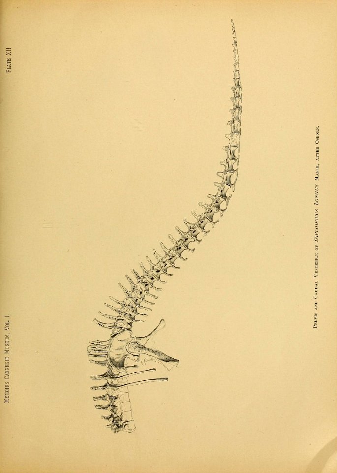 n102_w1150