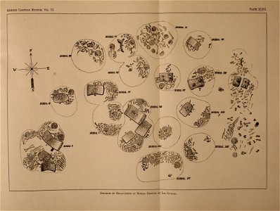 n308_w1150