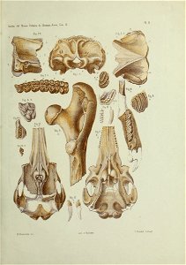 n532_w1150