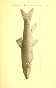 n256_w1150