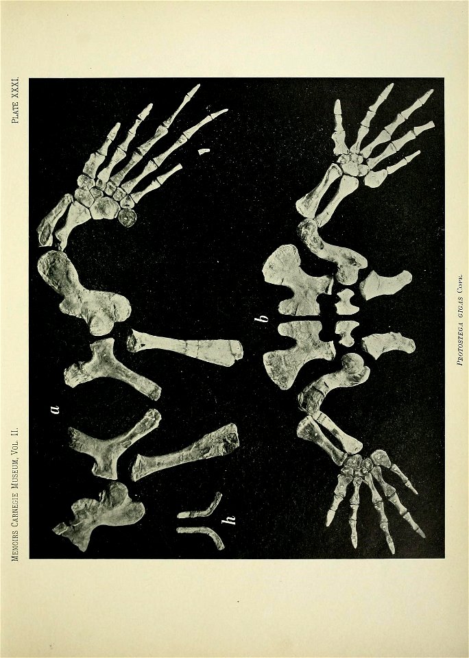 n402_w1150