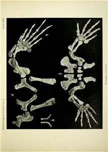 n402_w1150